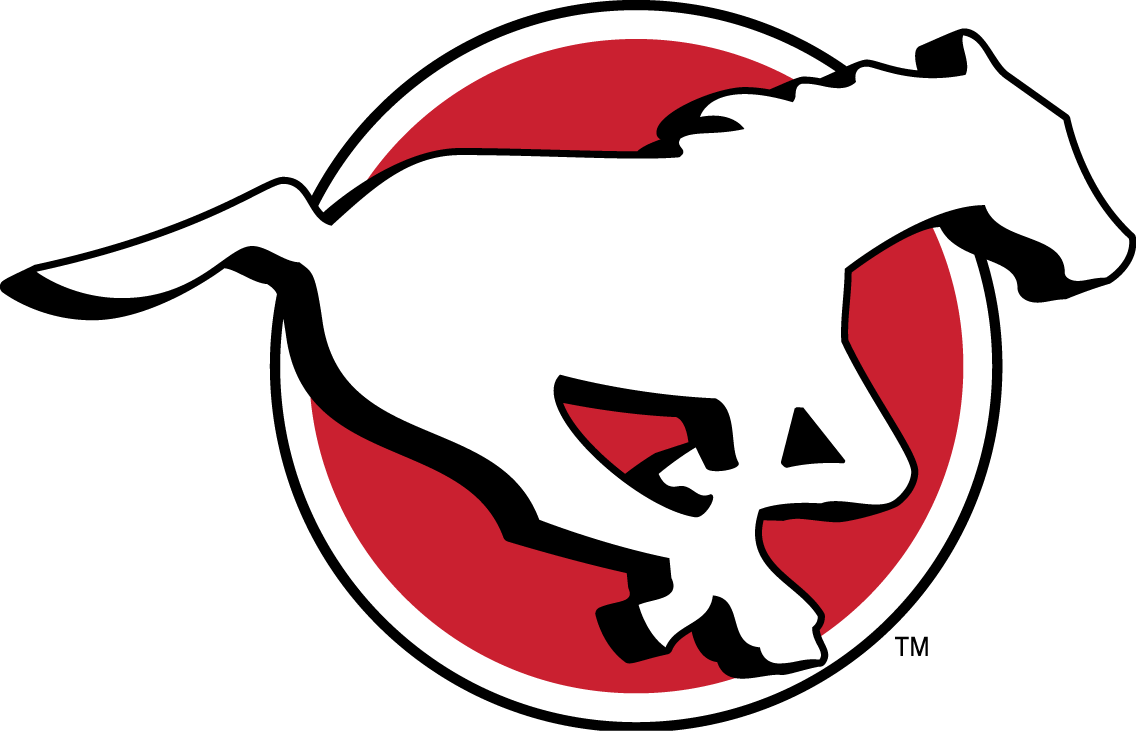calgary stampeders 2012-pres primary logo iron on transfers for clothing